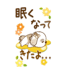 【Big】シーズー犬 73『こんなご時世の春』（個別スタンプ：38）