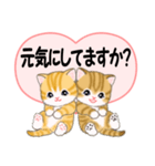 気持ち伝える ころころトラ猫2（個別スタンプ：1）