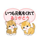 気持ち伝える ころころトラ猫2（個別スタンプ：10）