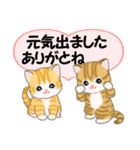 気持ち伝える ころころトラ猫2（個別スタンプ：12）