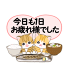 気持ち伝える ころころトラ猫2（個別スタンプ：13）