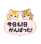 気持ち伝える ころころトラ猫2（個別スタンプ：15）