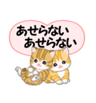 気持ち伝える ころころトラ猫2（個別スタンプ：19）