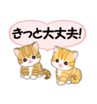 気持ち伝える ころころトラ猫2（個別スタンプ：21）