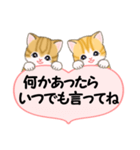 気持ち伝える ころころトラ猫2（個別スタンプ：25）