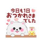 気持ちを伝える♥ポメラニアン「ぽちゃん」（個別スタンプ：11）