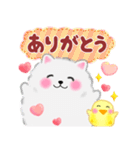 気持ちを伝える♥ポメラニアン「ぽちゃん」（個別スタンプ：13）