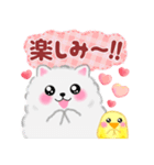 気持ちを伝える♥ポメラニアン「ぽちゃん」（個別スタンプ：24）