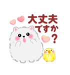 気持ちを伝える♥ポメラニアン「ぽちゃん」（個別スタンプ：25）