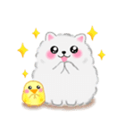 気持ちを伝える♥ポメラニアン「ぽちゃん」（個別スタンプ：36）