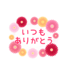 動く！おめでとう・ありがとう 2（個別スタンプ：3）