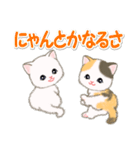 甘えん坊にゃんこズ ネコ語でにゃあ（個別スタンプ：30）