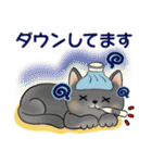 ラブリー猫さん ♡ 優しい日常（個別スタンプ：19）
