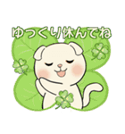 ラブリー猫さん ♡ 優しい日常（個別スタンプ：22）