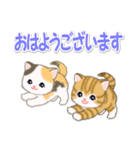 ころころ子猫 優しい敬語（個別スタンプ：1）