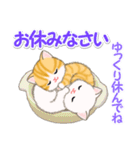 ころころ子猫 優しい敬語（個別スタンプ：6）