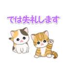 ころころ子猫 優しい敬語（個別スタンプ：7）