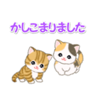 ころころ子猫 優しい敬語（個別スタンプ：12）