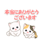 ころころ子猫 優しい敬語（個別スタンプ：17）