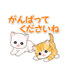 ころころ子猫 優しい敬語（個別スタンプ：22）