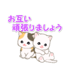 ころころ子猫 優しい敬語（個別スタンプ：24）