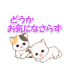 ころころ子猫 優しい敬語（個別スタンプ：28）