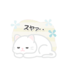 動く！しろいぬこ（個別スタンプ：14）