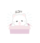 動く！しろいぬこ（個別スタンプ：16）