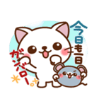 しろ～い猫さん❤日常（個別スタンプ：3）