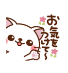 しろ～い猫さん❤日常（個別スタンプ：34）