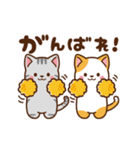 ミル＆モカ 動く毎日使えるスタンプ（個別スタンプ：20）