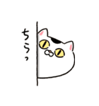 背景が動く！生きづらい猫3★おもしろ日常★（個別スタンプ：14）