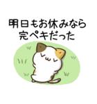 毎日五月病なねこたち5（個別スタンプ：2）