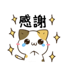 毎日五月病なねこたち5（個別スタンプ：10）