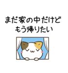 毎日五月病なねこたち5（個別スタンプ：28）