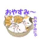 ころころ子猫 可愛い毎日（個別スタンプ：5）