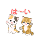 ころころ子猫 可愛い毎日（個別スタンプ：9）