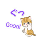 ころころ子猫 可愛い毎日（個別スタンプ：12）