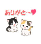 ころころ子猫 可愛い毎日（個別スタンプ：13）