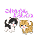 ころころ子猫 可愛い毎日（個別スタンプ：18）