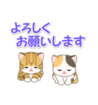 ころころ子猫 可愛い毎日（個別スタンプ：19）