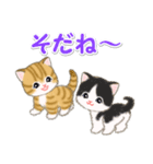 ころころ子猫 可愛い毎日（個別スタンプ：25）