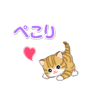 ころころ子猫 可愛い毎日（個別スタンプ：31）