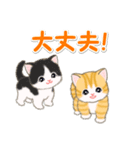 ころころ子猫 可愛い毎日（個別スタンプ：34）