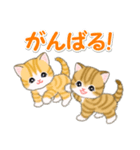ころころ子猫 可愛い毎日（個別スタンプ：35）
