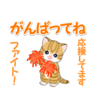 ころころ子猫 可愛い毎日（個別スタンプ：36）