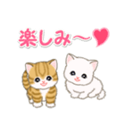 ころころ子猫 可愛い毎日（個別スタンプ：37）