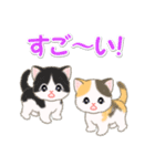 ころころ子猫 可愛い毎日（個別スタンプ：38）
