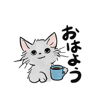 モフ猫銀くんのスタンプ（個別スタンプ：1）