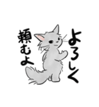 モフ猫銀くんのスタンプ（個別スタンプ：6）